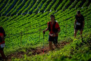 BIB: 7120
                            <button type="button" onclick="openModal(19161195)" class="btn btn-primary btn-sm float-right btn-popup" data-toggle="modal" data-target=".modal-high-quality">
                        <i class="fas fa-shopping-cart"></i> Add to Cart
                    </button>
                                            <button type="button" onclick="isThisMe(19161195, true)" class="btn btn-success btn-sm float-right btn-popup btn-isme hidden" data-toggle="tooltip" data-placement="bottom" title="นี่คือรูปของคุณใช่ไหม คลิกที่นี่เพื่อเอาเข้าอัลบั้ม">
                        <i class="fas fa-plus"></i> Add to album
                    </button>
                    <button type="button" onclick="isThisMe(19161195, false)" class="btn btn-warning btn-sm float-right btn-popup btn-isnotme hidden">
                        <i class="fas fa-ban"></i> Remove from album
                    </button>